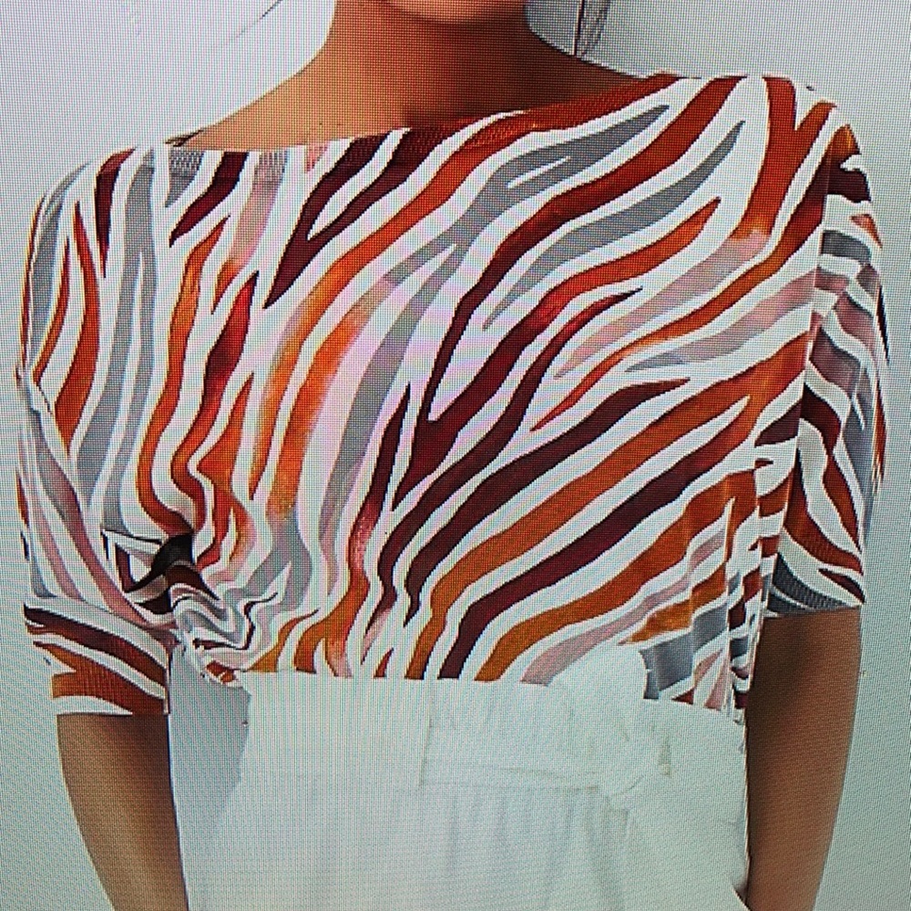 Zebra stripe sweater, Ann Taylor, XL